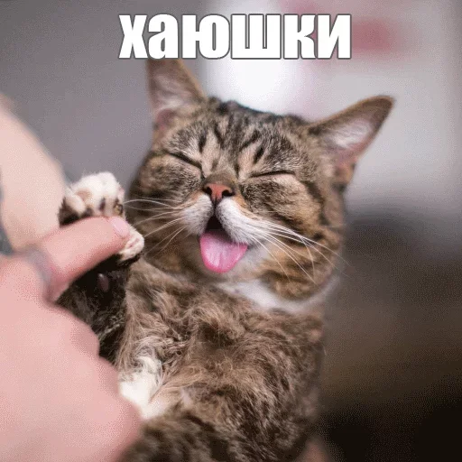 Стикерпак Kimono для Telegram — скачать