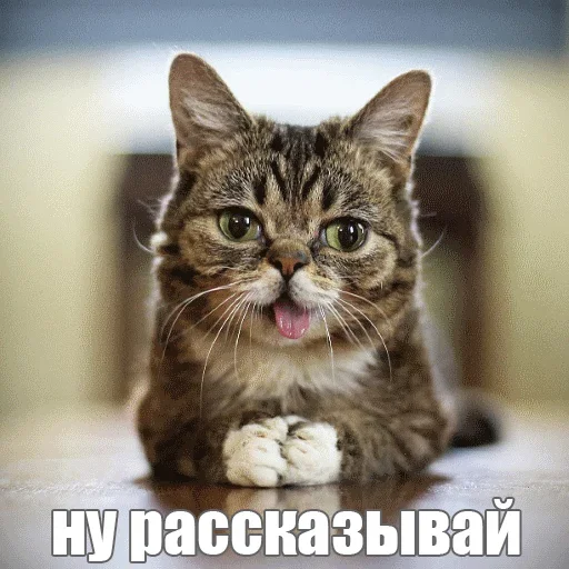 😙 Стикер «Kimono» для Telegram