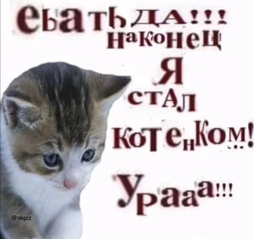 ❤️‍🔥 Стикер «котейки» для Telegram