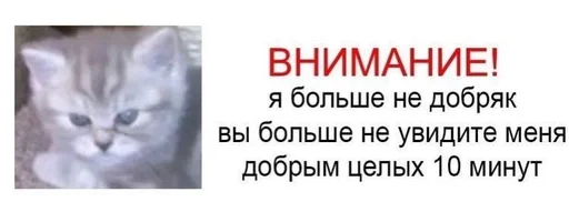 🫤 Стикер «котейки» для Telegram