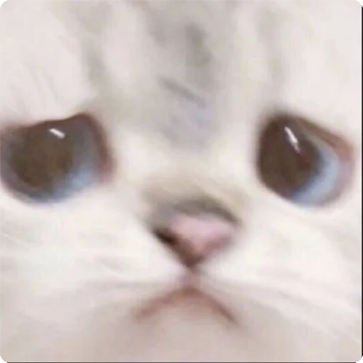 😢 Стикер «Kites» для Telegram
