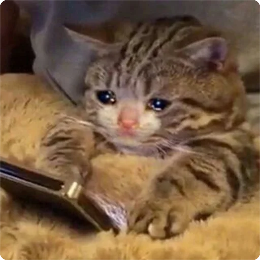 😢 Стикер «Kites» для Telegram