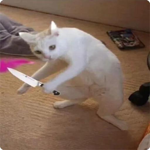🔪 Стикер «Kites» для Telegram
