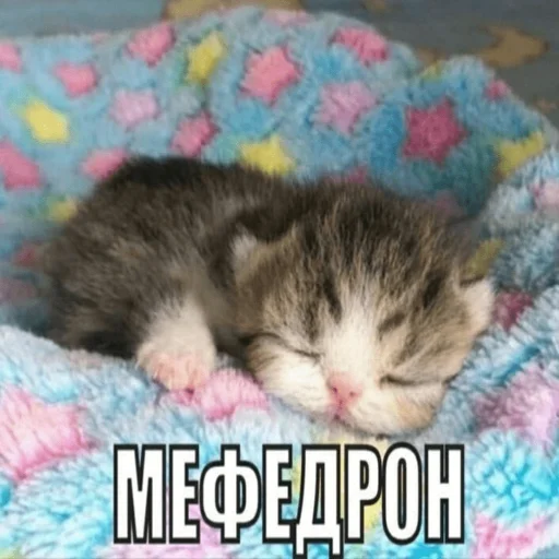 🥱 Стикер «Китики» для Telegram