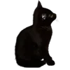 🥟 Эмодзи «Kitten» для Telegram