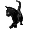 🥟 Эмодзи «Kitten» для Telegram