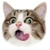 🥟 Эмодзи «Kitten» для Telegram