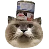 🥟 Эмодзи «Kitten» для Telegram