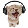 🥟 Эмодзи «Kitten» для Telegram