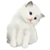 🥟 Эмодзи «Kitten» для Telegram