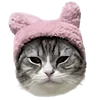 🥟 Эмодзи «Kitten» для Telegram