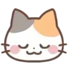 🐾 Эмодзи «🐾 cute cat - котики» для Telegram