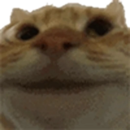 🙂 Эмодзи «Kittens» для Telegram