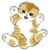 🐱 Эмодзи «≽^•⩊•^≼ котики ≽^•⩊•^≼» для Telegram