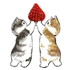 🐱 Эмодзи «≽^•⩊•^≼ котики ≽^•⩊•^≼» для Telegram