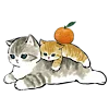 🐱 Эмодзи «≽^•⩊•^≼ котики ≽^•⩊•^≼» для Telegram