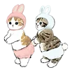🐱 Эмодзи «≽^•⩊•^≼ котики ≽^•⩊•^≼» для Telegram