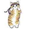 🐱 Эмодзи «≽^•⩊•^≼ котики ≽^•⩊•^≼» для Telegram
