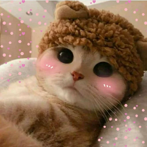 Стикерпак KittensClau для Telegram — скачать