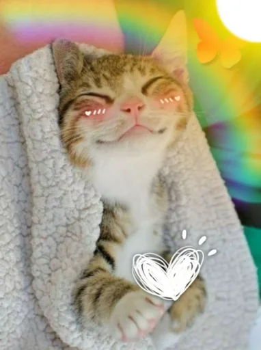 🌟 Стикер «KittensClau» для Telegram