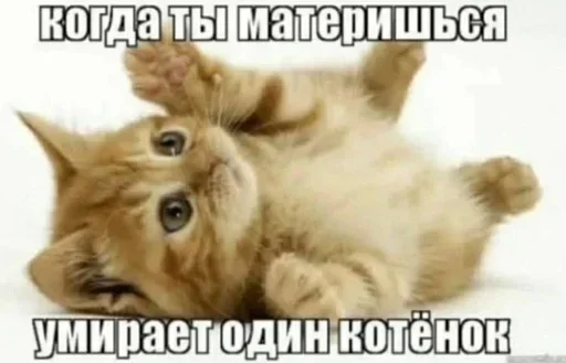 💀 Стикер «Kitties.exe» для Telegram