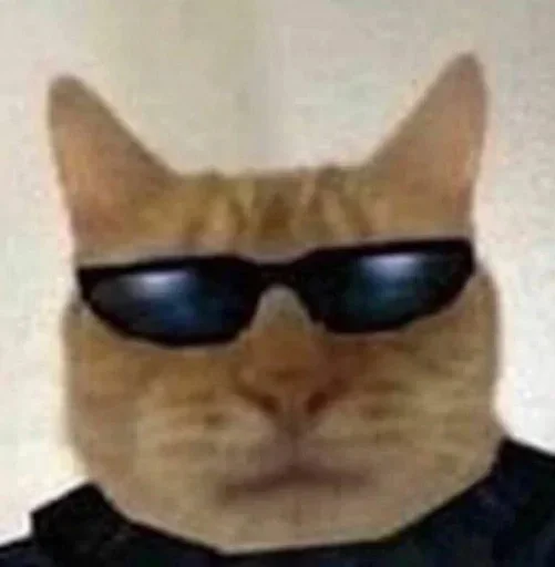 😎 Стикер «Kitties.exe» для Telegram
