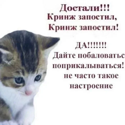 😡 Стикер «Kitties.exe» для Telegram
