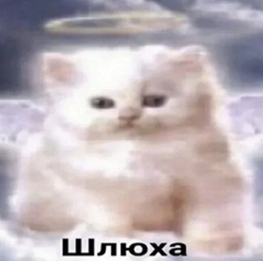 ❤️ Стикер «Kitties.exe» для Telegram