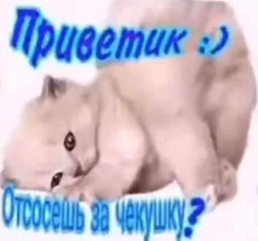 👋 Стикер «Kitties.exe» для Telegram