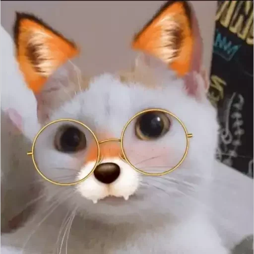 🦊 Стикер «Kittos» для Telegram