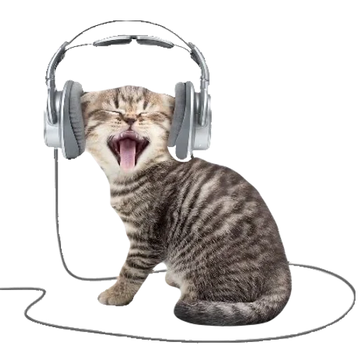 💕 Стикер «cute kitty» для Telegram