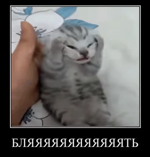 🤬 Стикер «v ahue» для Telegram