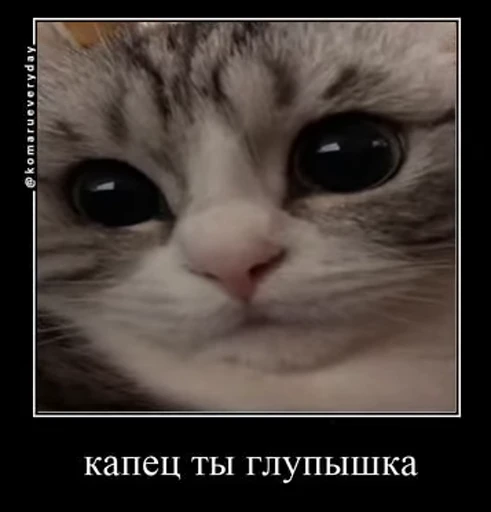 😜 Стикер «v ahue» для Telegram
