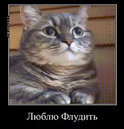 🤥 Стикер «v ahue» для Telegram
