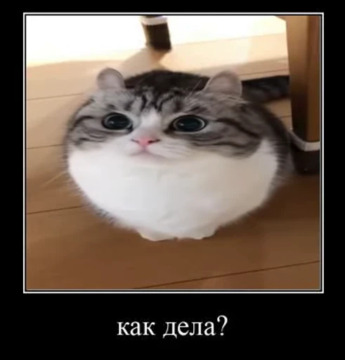 🙂 Стикер «v ahue» для Telegram