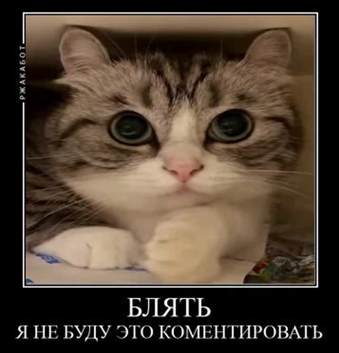 🧔‍♀️ Стикер «v ahue» для Telegram