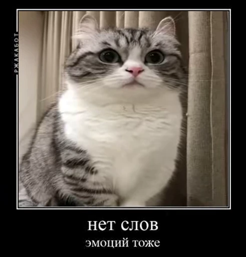 🤯 Стикер «v ahue» для Telegram