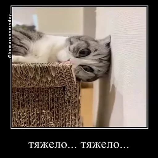 😞 Стикер «v ahue» для Telegram