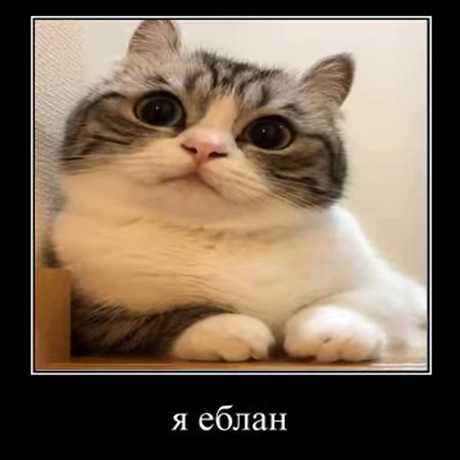 🥶 Стикер «v ahue» для Telegram