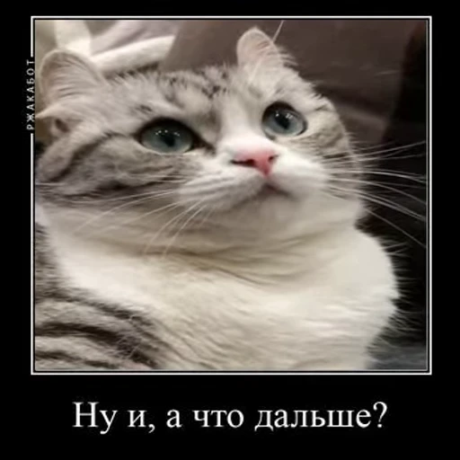 🙃 Стикер «v ahue» для Telegram