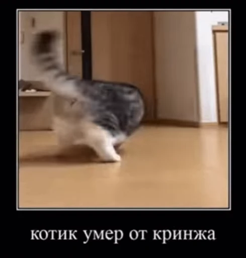 🤡 Стикер «v ahue» для Telegram