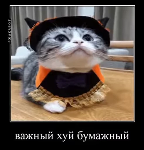 🥸 Стикер «v ahue» для Telegram
