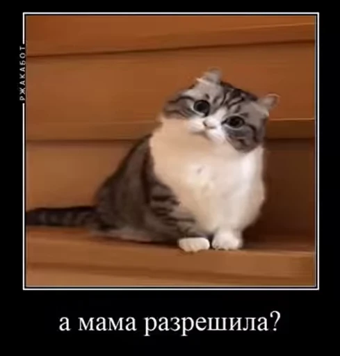 🤔 Стикер «v ahue» для Telegram