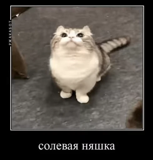 😳 Стикер «v ahue» для Telegram