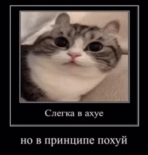 🥱 Стикер «v ahue» для Telegram
