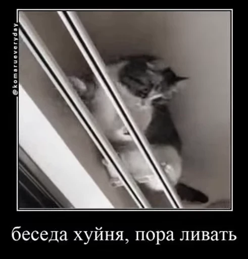 🧐 Стикер «v ahue» для Telegram