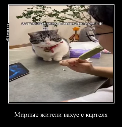 Стикерпак Комару для Telegram — скачать