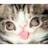 🤪 Эмодзи «#кнопкапоказатьмем?» для Telegram