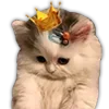 👸 Эмодзи «#кнопкапоказатьмем?» для Telegram