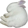 🐇 Эмодзи «#кнопкапоказатьмем?» для Telegram